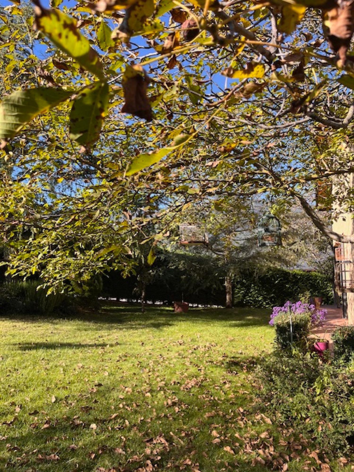  à vendre maison de campagne Montferrer Alt Urgell-Cerdenya 17
