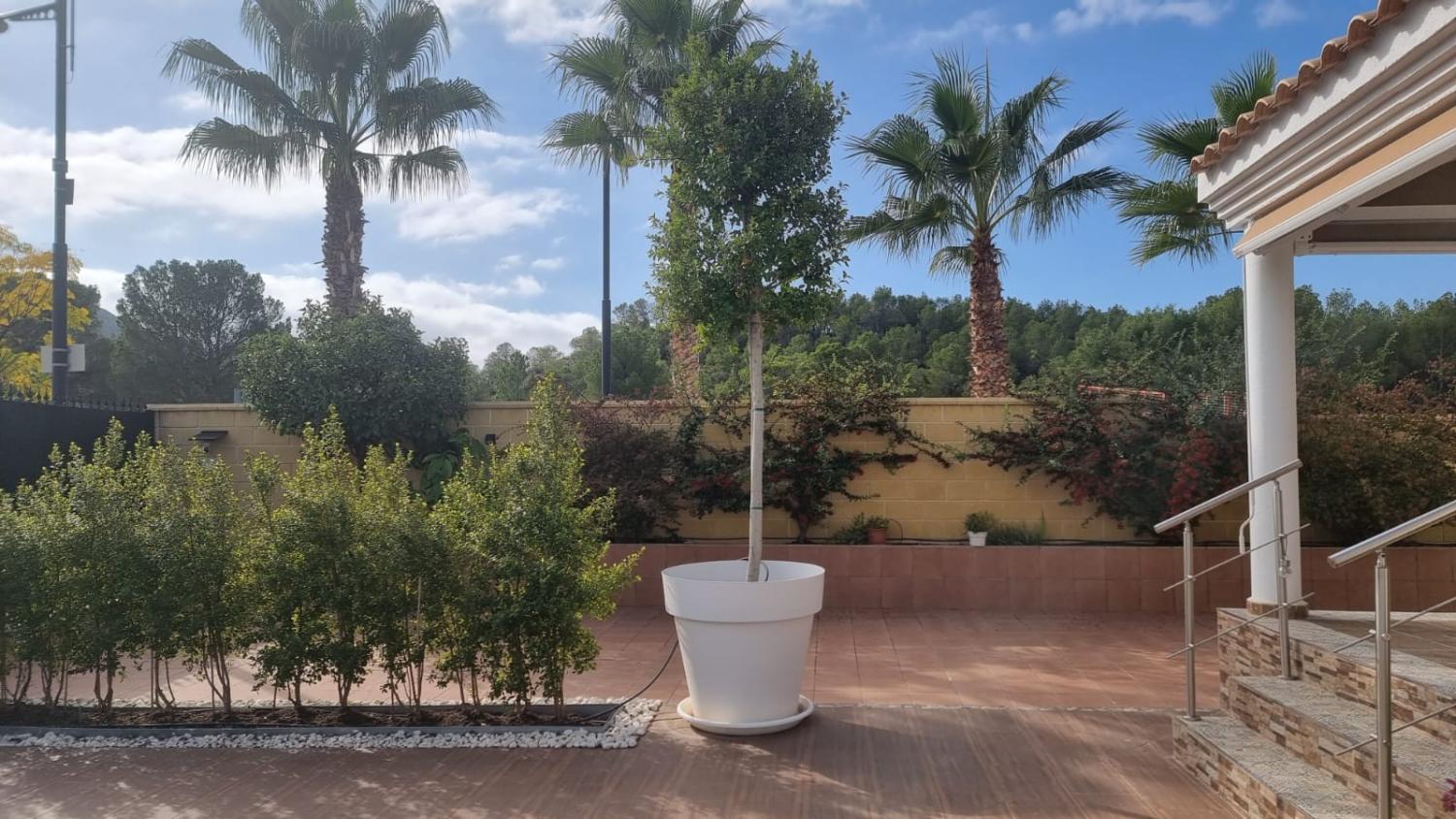  à vendre maison Calasparra Noroeste 4