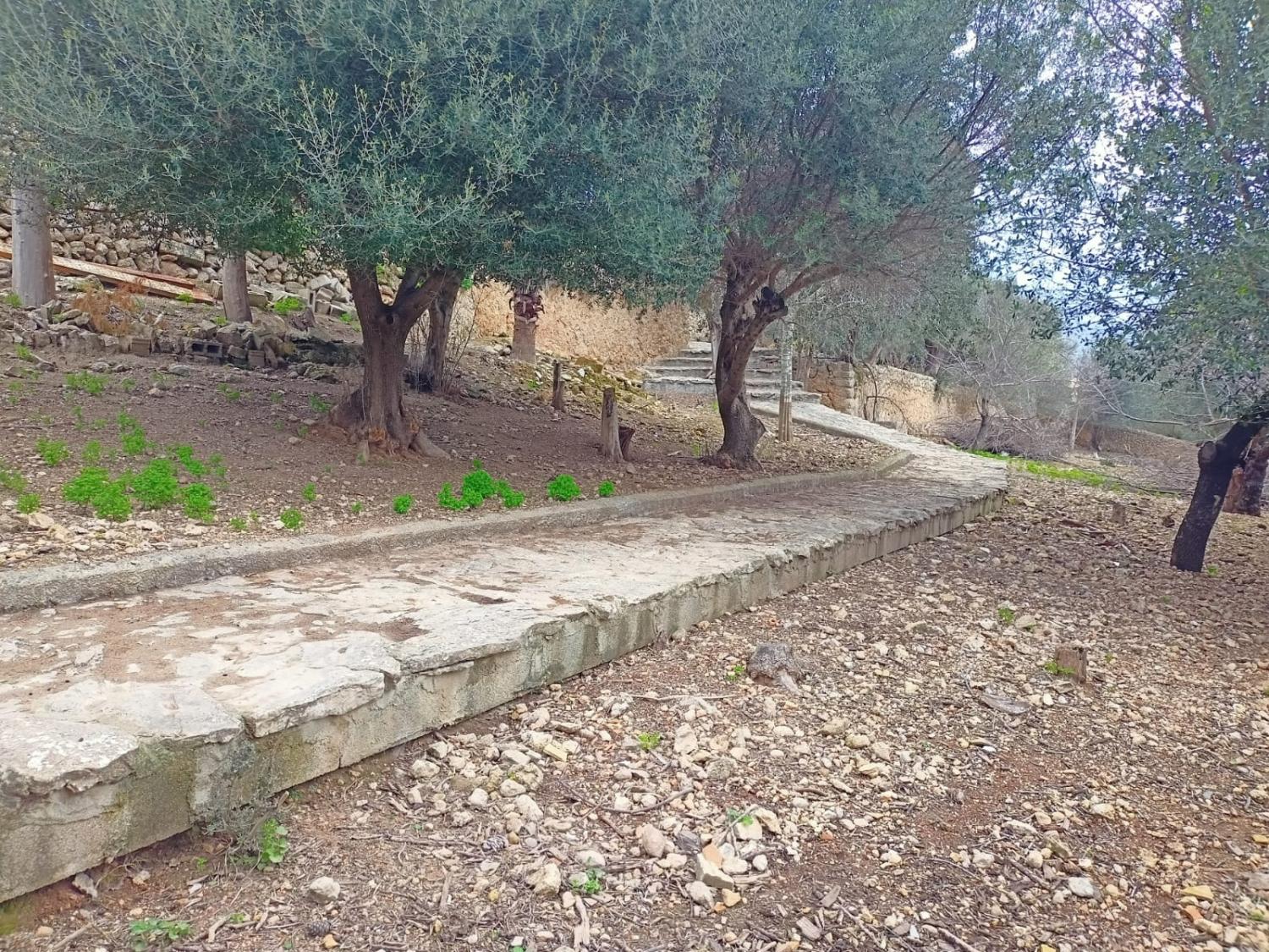  à vendre maison Campanet Raiguer 39