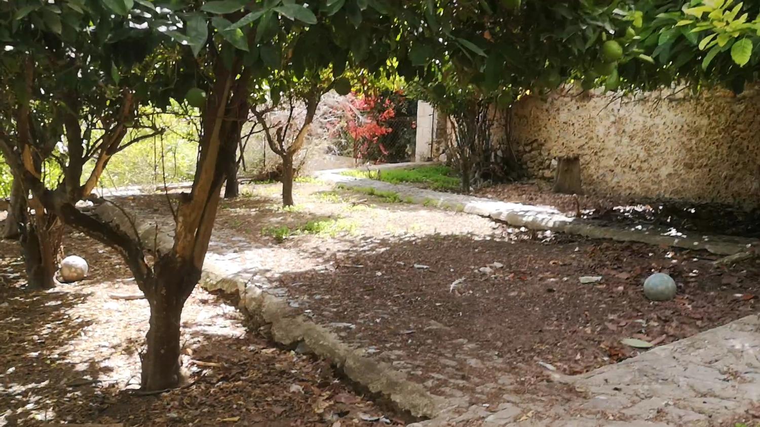  à vendre maison Campanet Raiguer 16