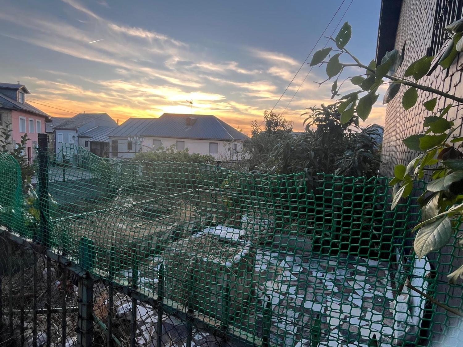 à vendre maison Villaverde De Los Cestos Bierzo (El) 11