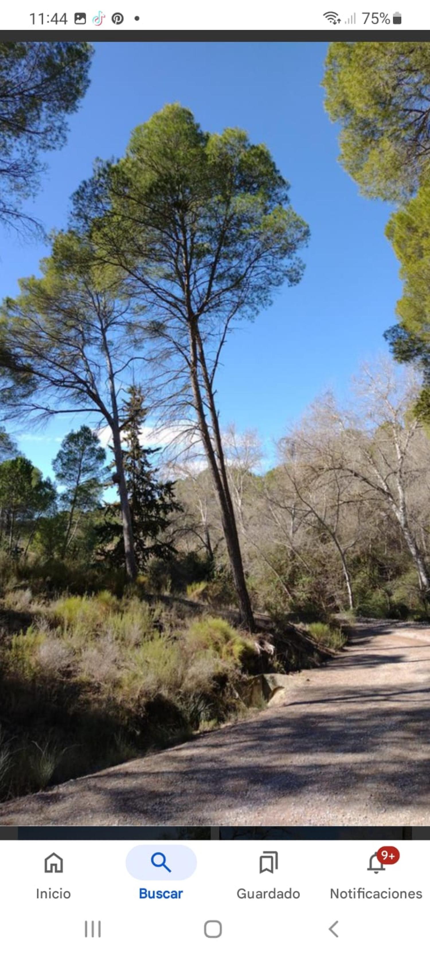  à vendre maison Calasparra Noroeste 16