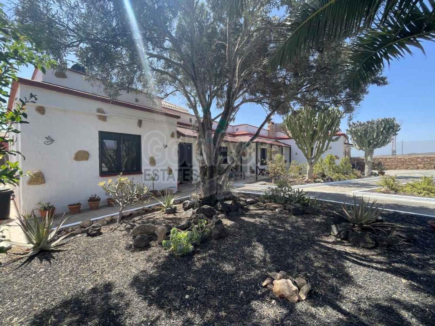  à vendre gîtes/ chambres d’hôtes Casillas De Morales Antigua 4