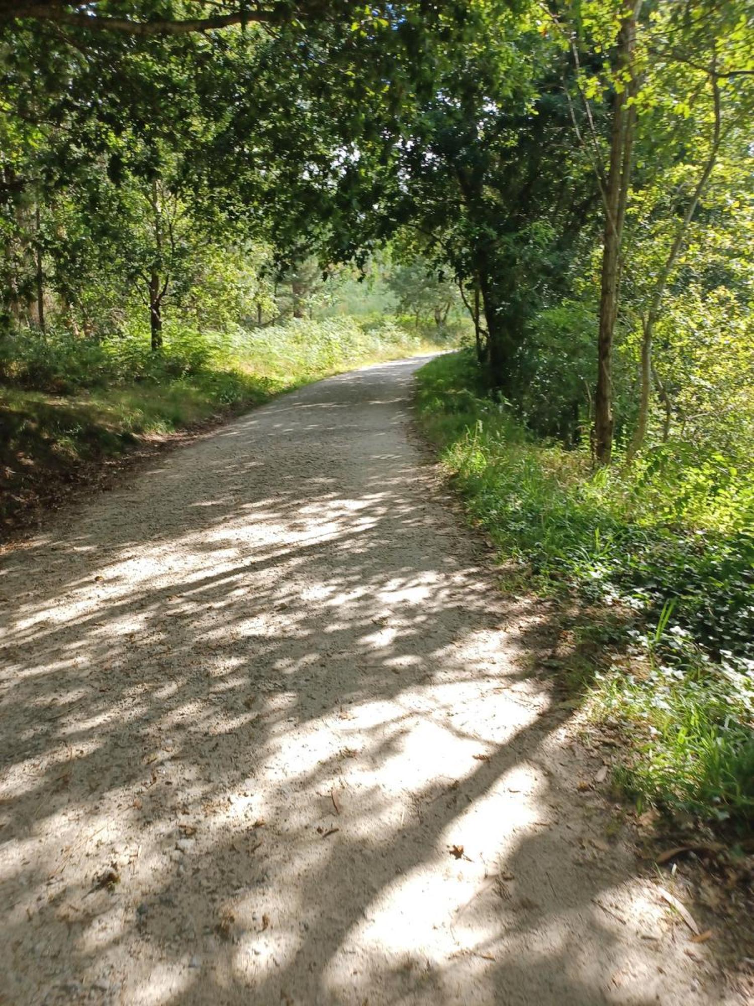  à vendre terrain Raíces Santiago 13