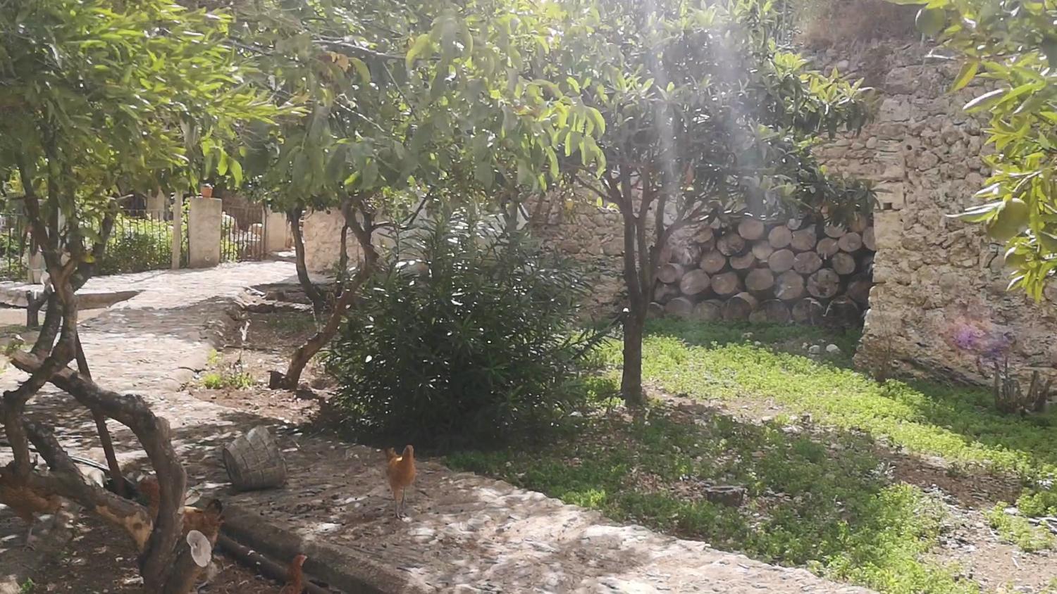  à vendre maison Campanet Raiguer 19