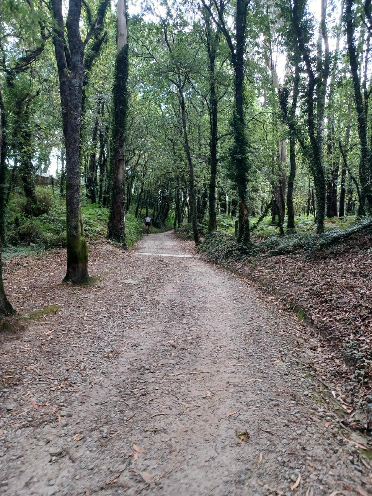  à vendre terrain Raíces Santiago 4