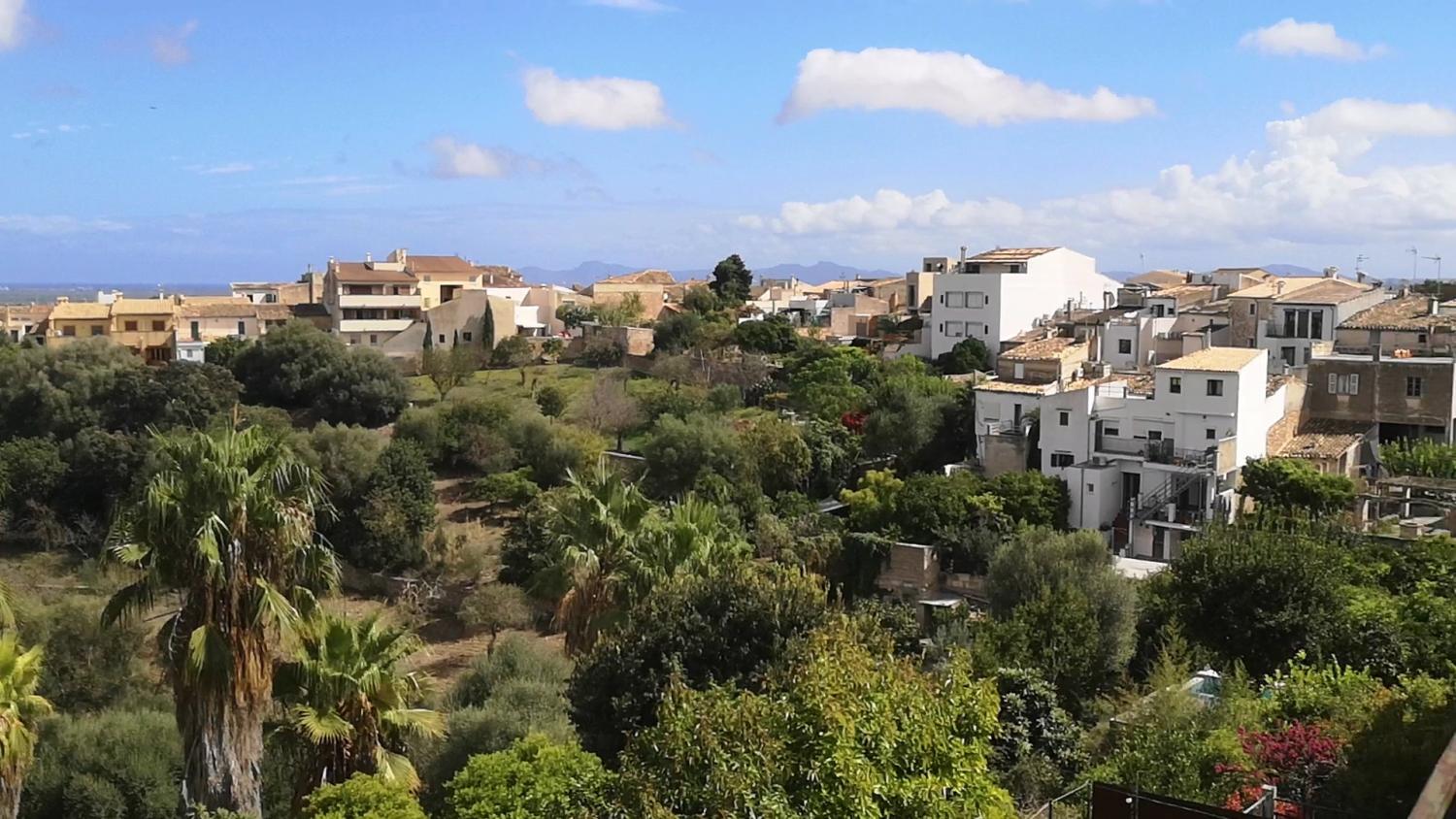  à vendre maison Campanet Raiguer 4