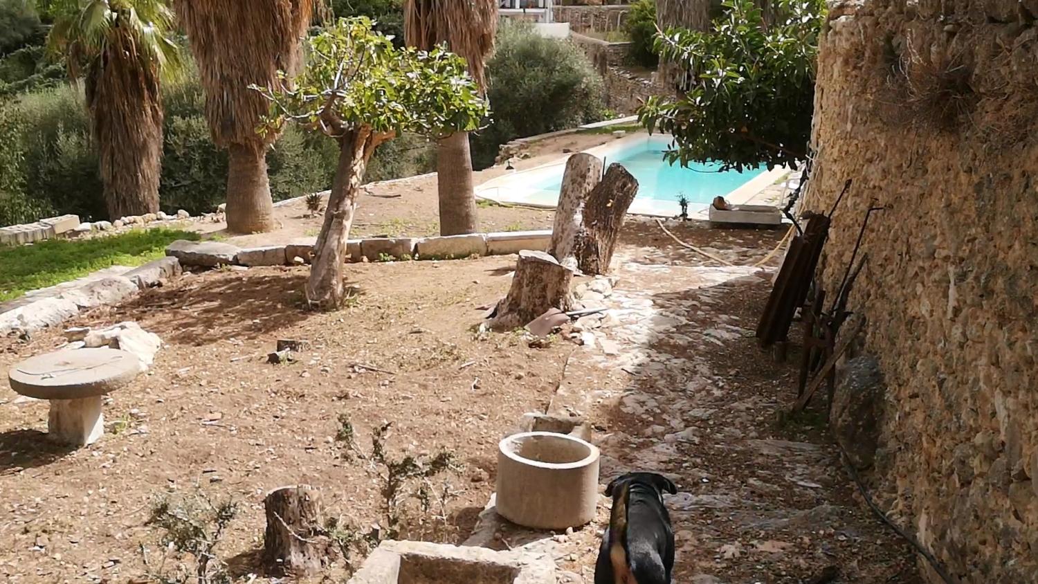  à vendre maison Campanet Raiguer 25