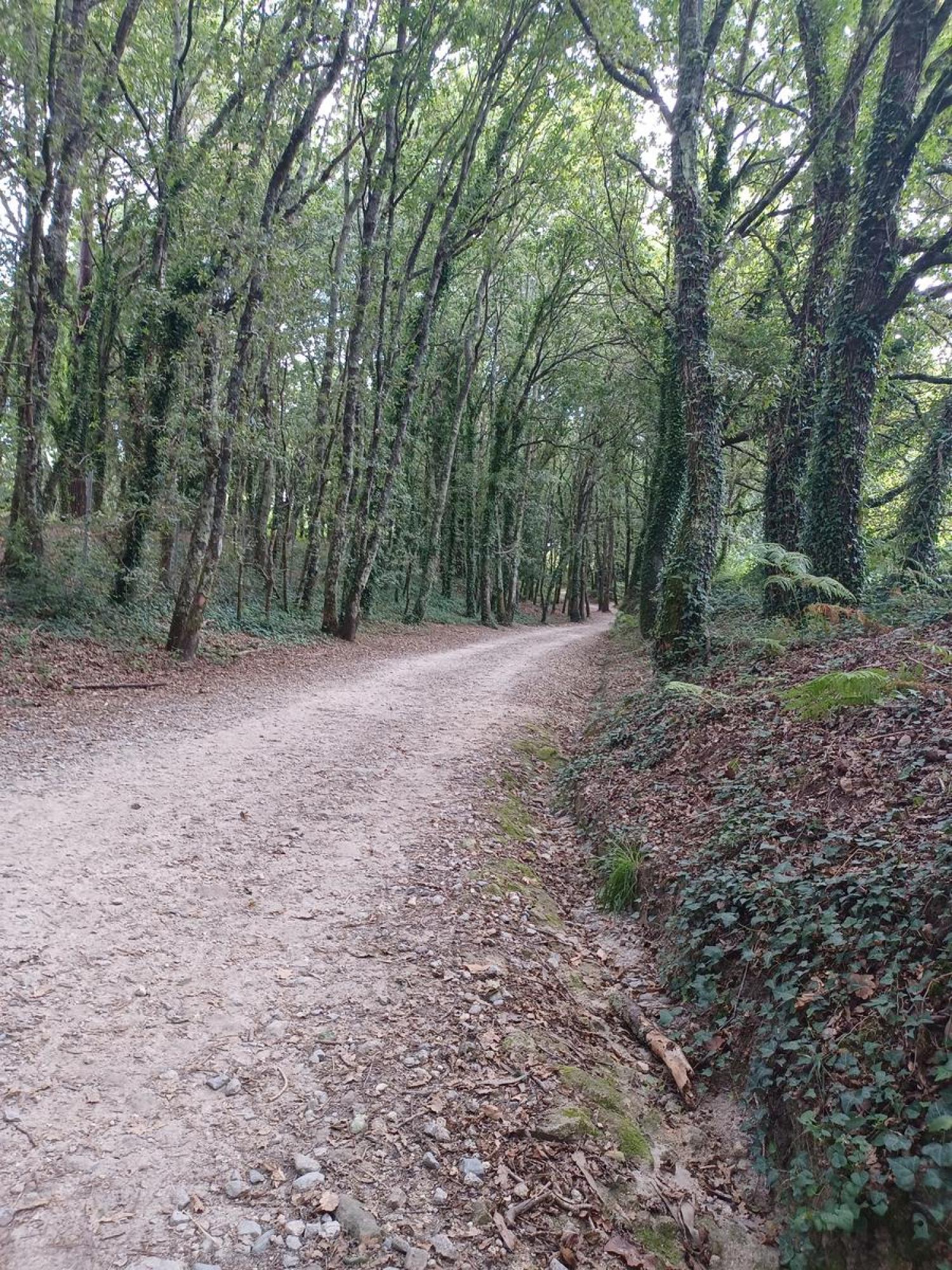  à vendre terrain Raíces Santiago 30