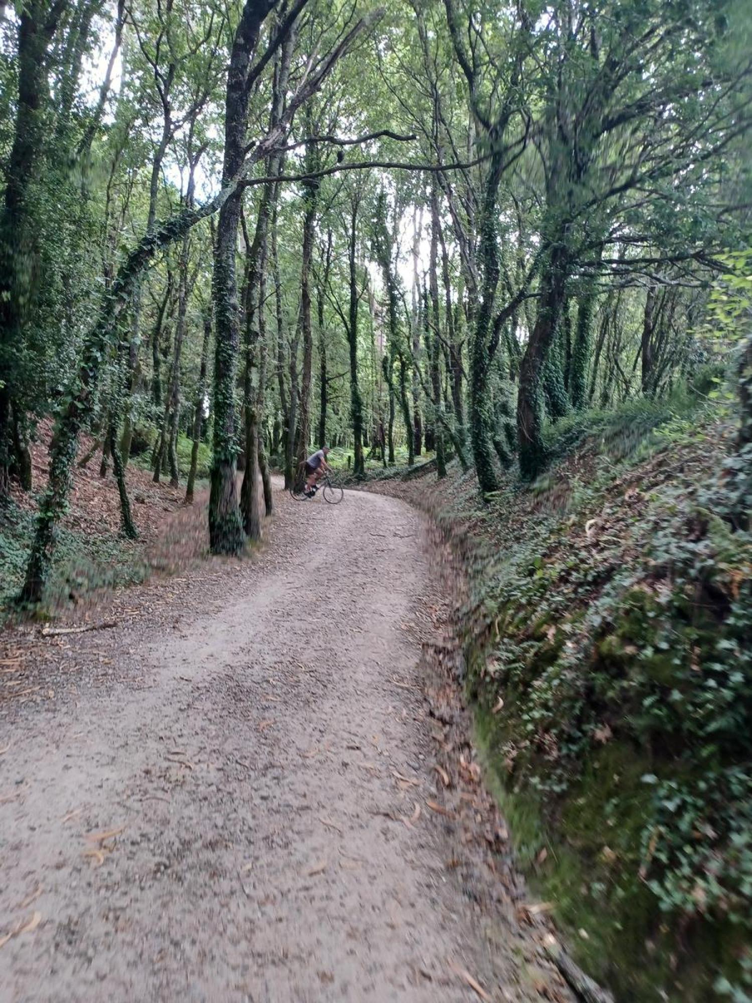  à vendre terrain Raíces Santiago 32