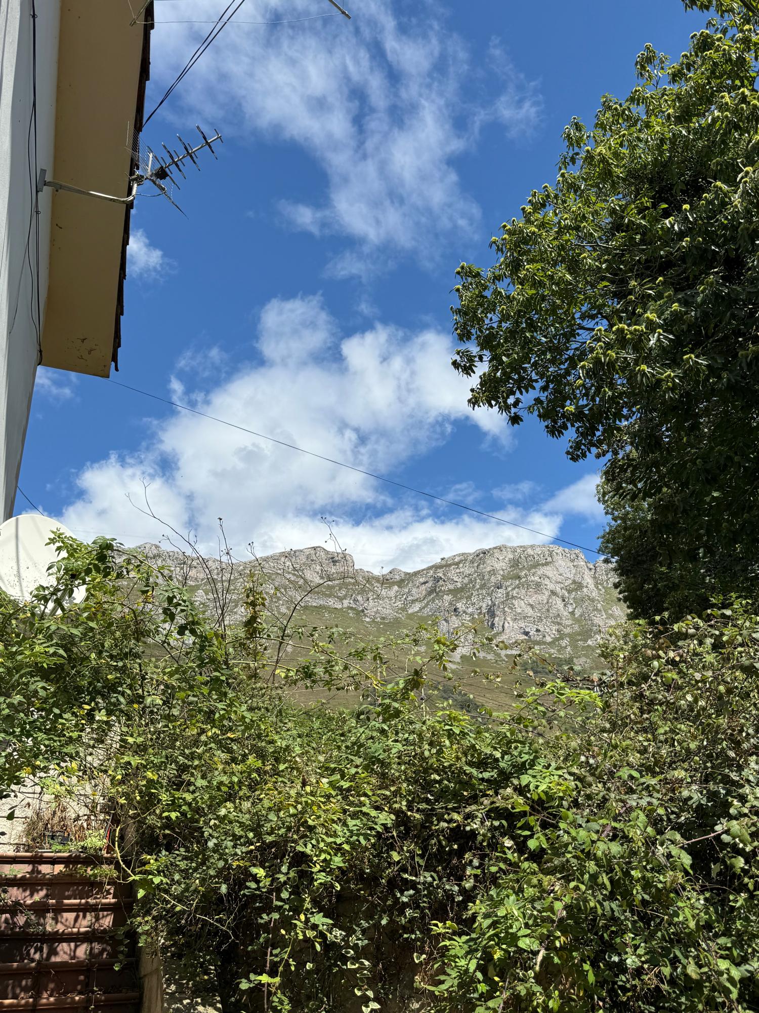  à vendre maison de ville Arangas Oriente 20