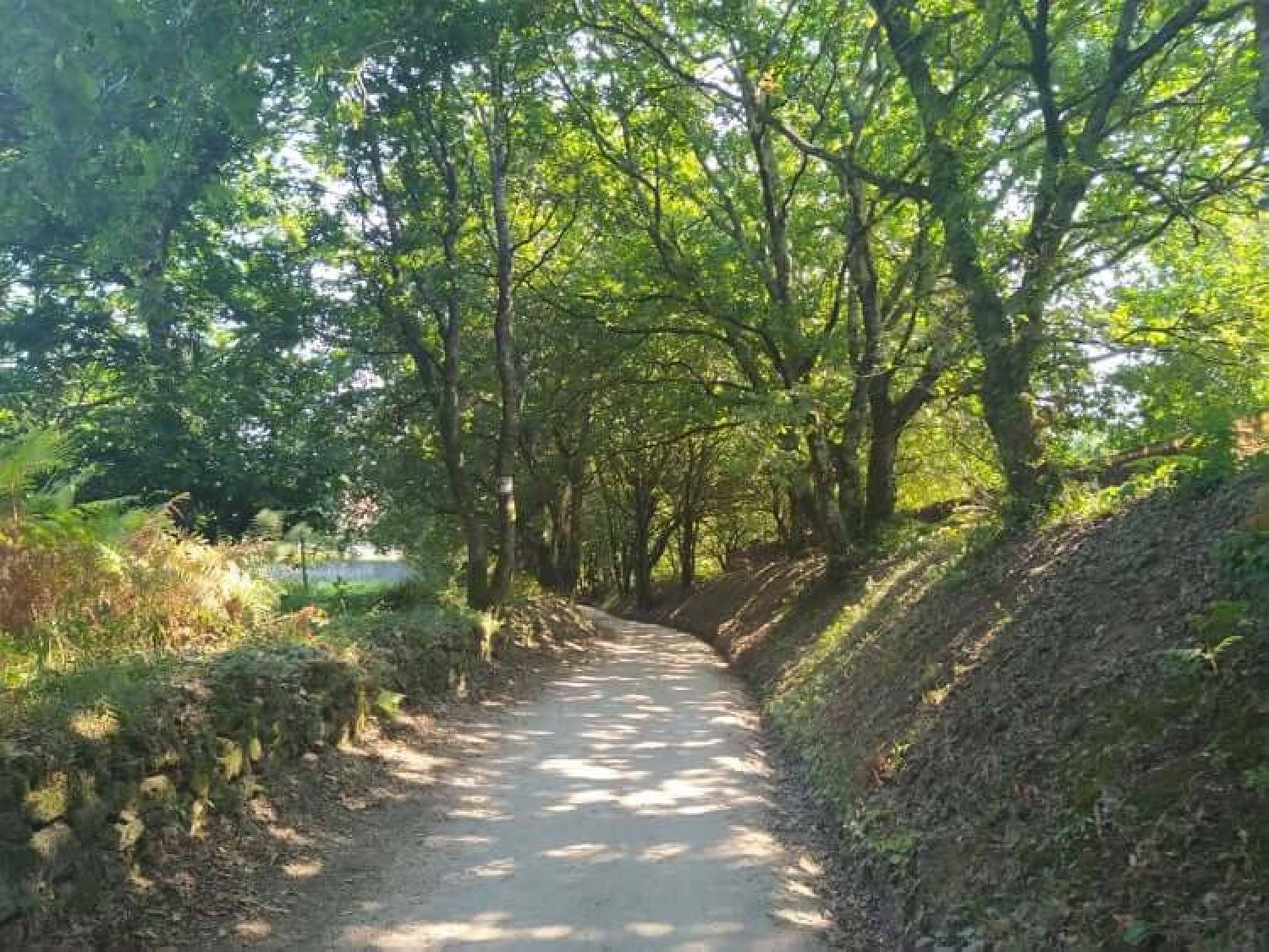  à vendre terrain Raíces Santiago 27