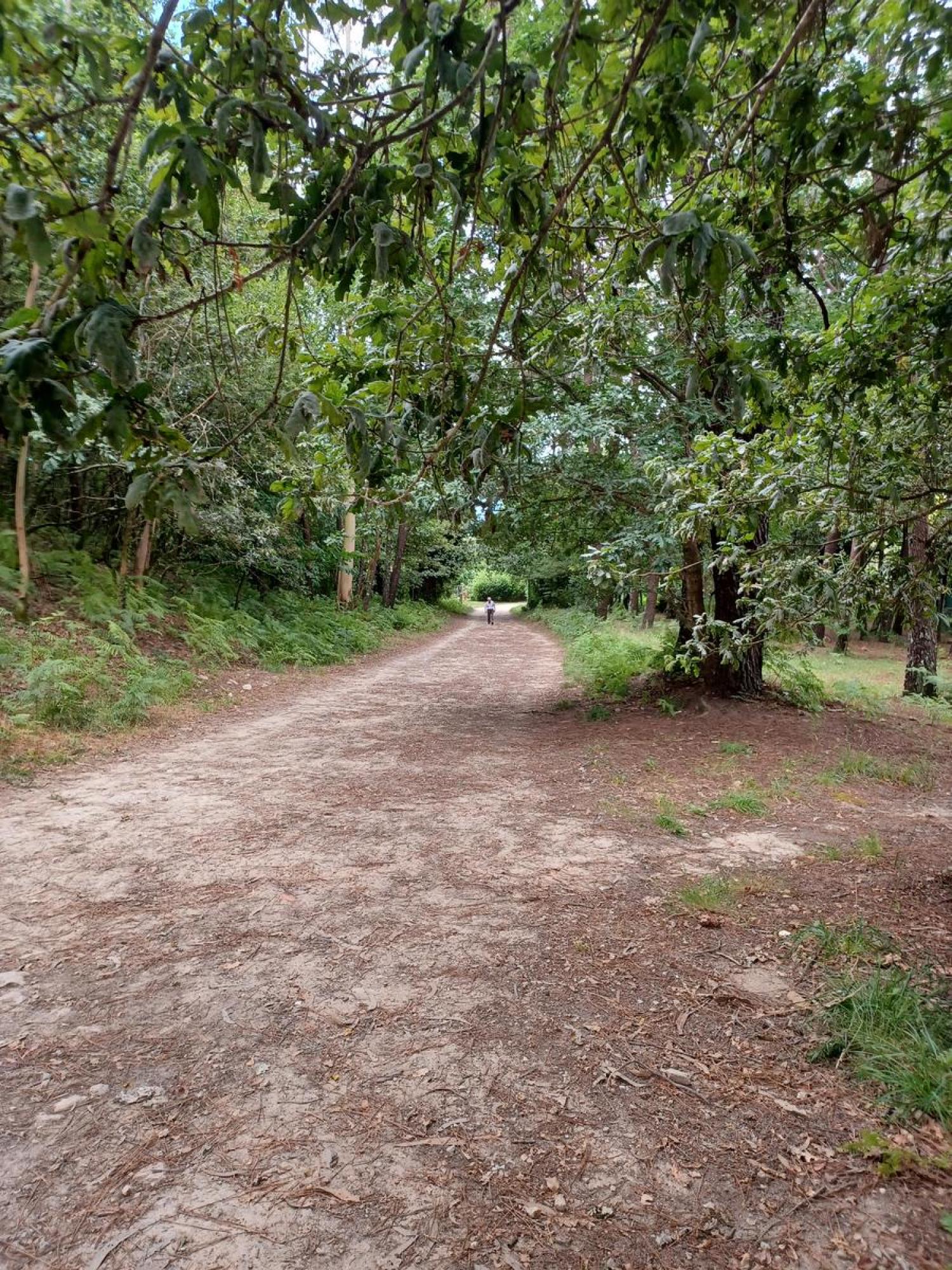  à vendre terrain Raíces Santiago 20