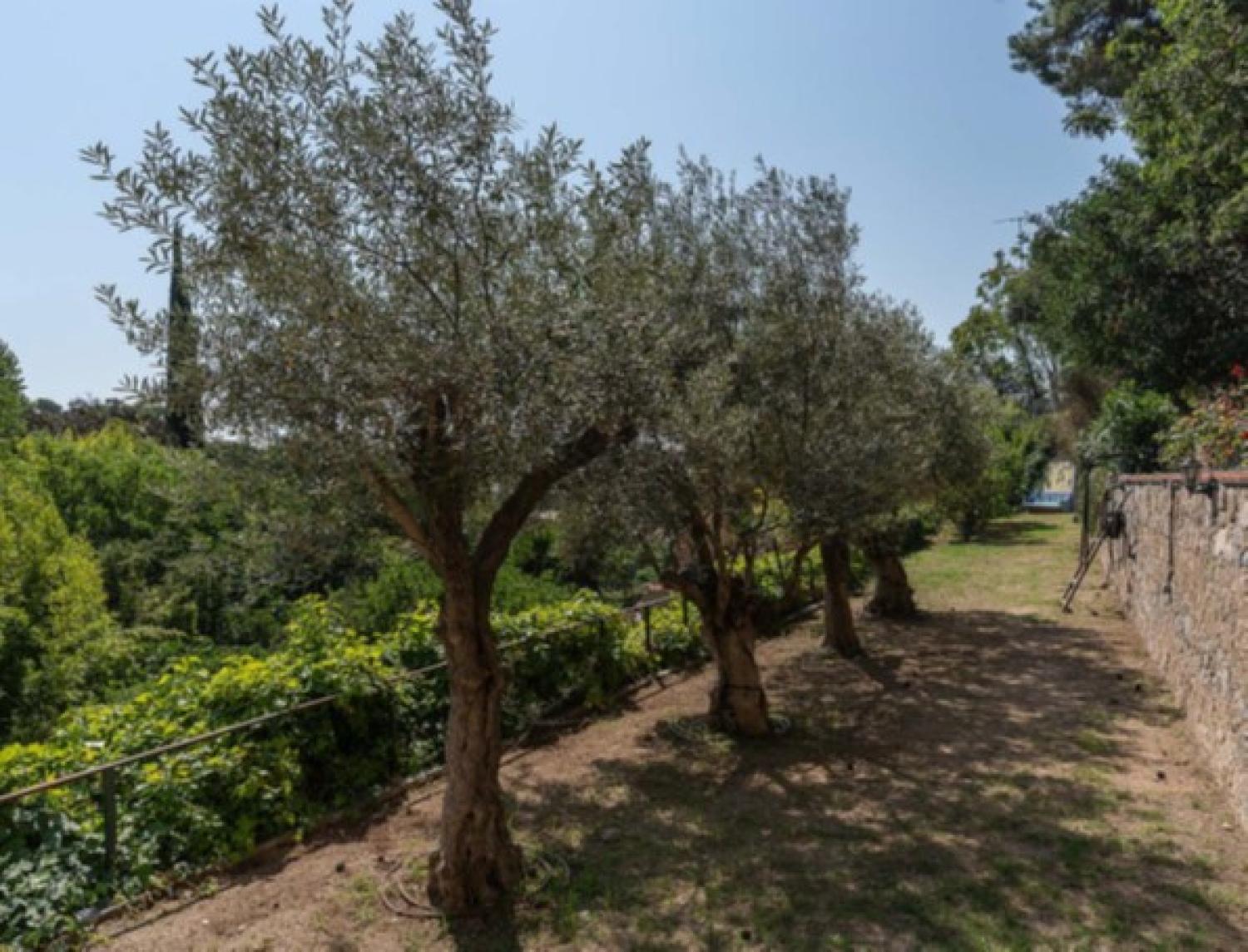  à vendre maison de maître Nucli Antic Maresme 41