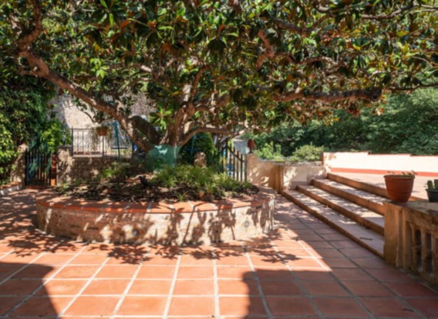  à vendre maison de maître Nucli Antic Maresme 37