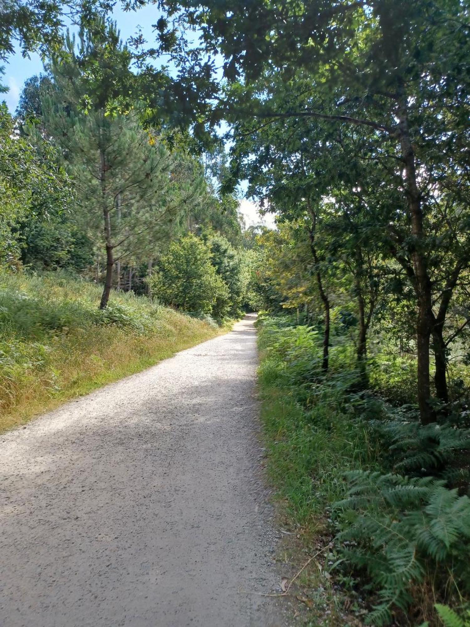  à vendre terrain Raíces Santiago 24