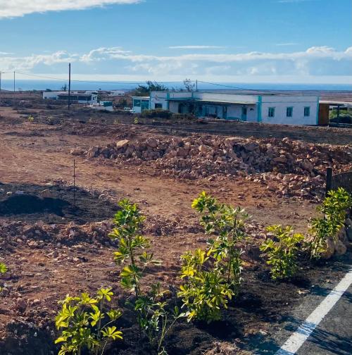 Tindaya Oliva (La) terrain foto 6323669