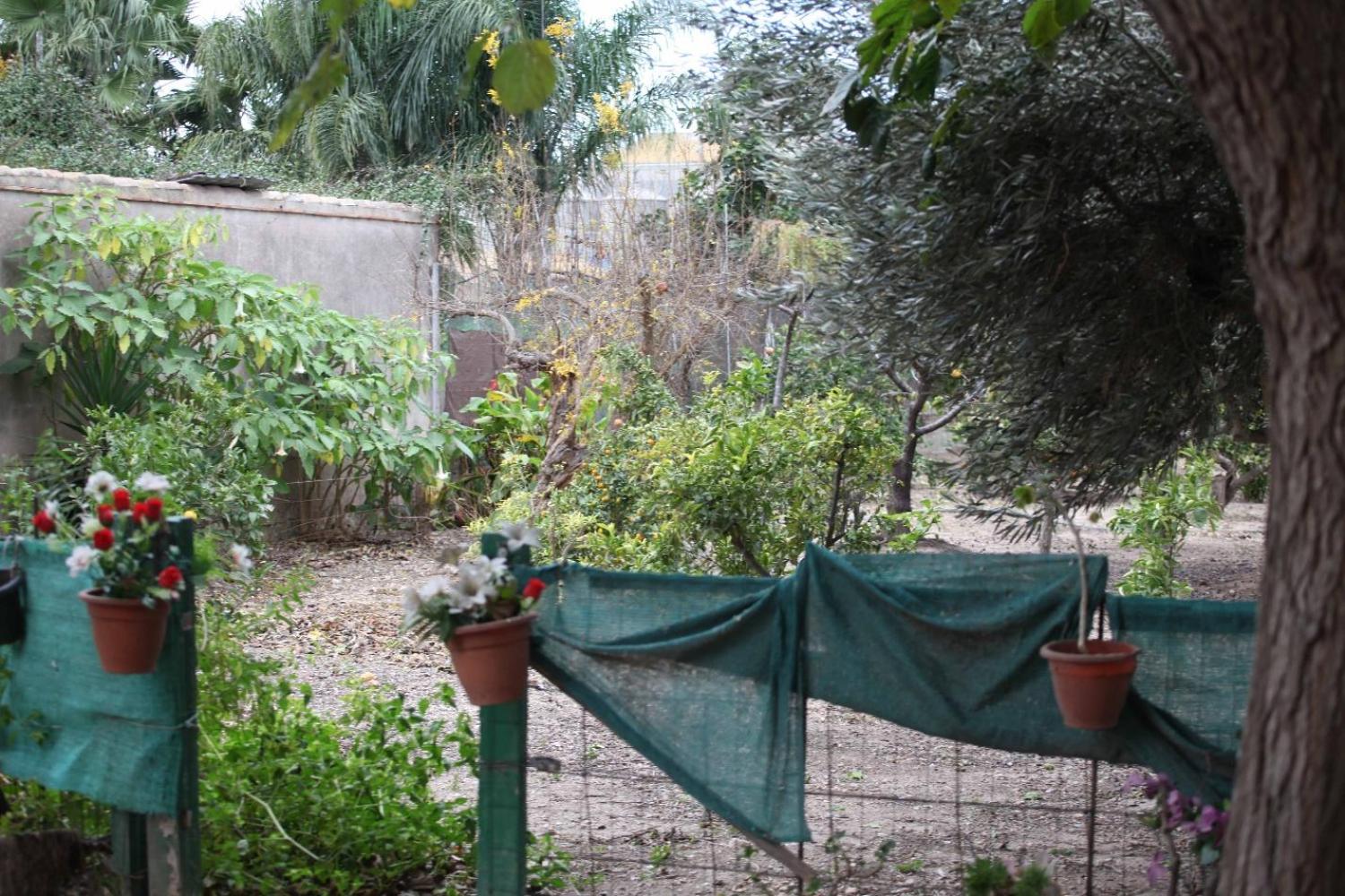  à vendre villa Sollana Ribera Baixa 68