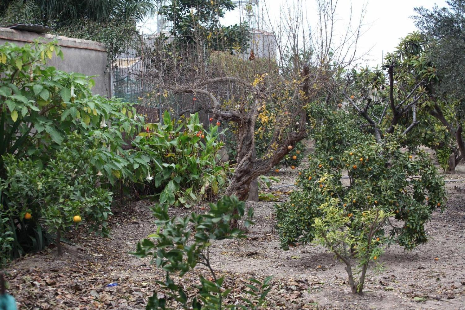  à vendre villa Sollana Ribera Baixa 81