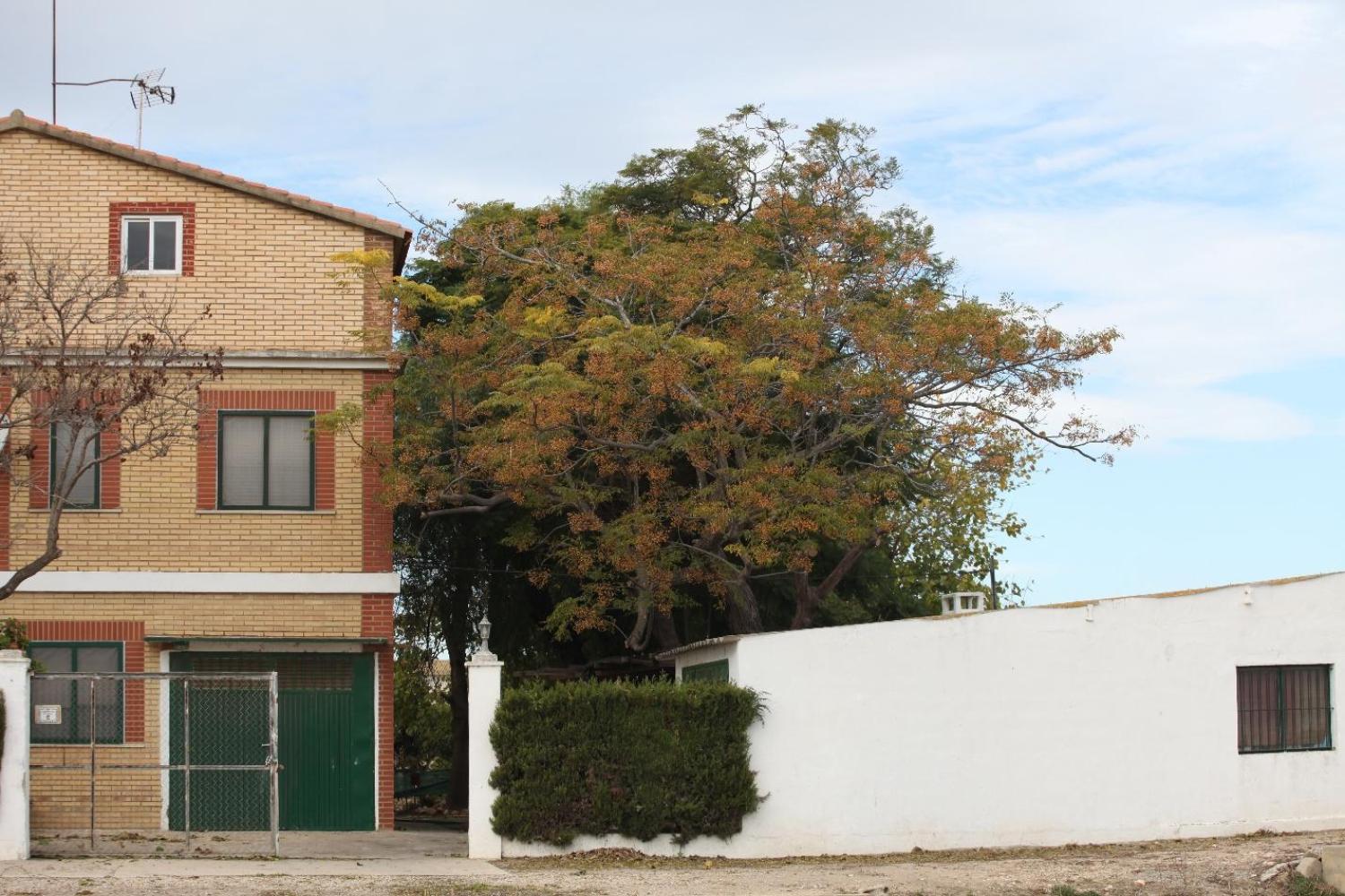  à vendre villa Sollana Ribera Baixa 16