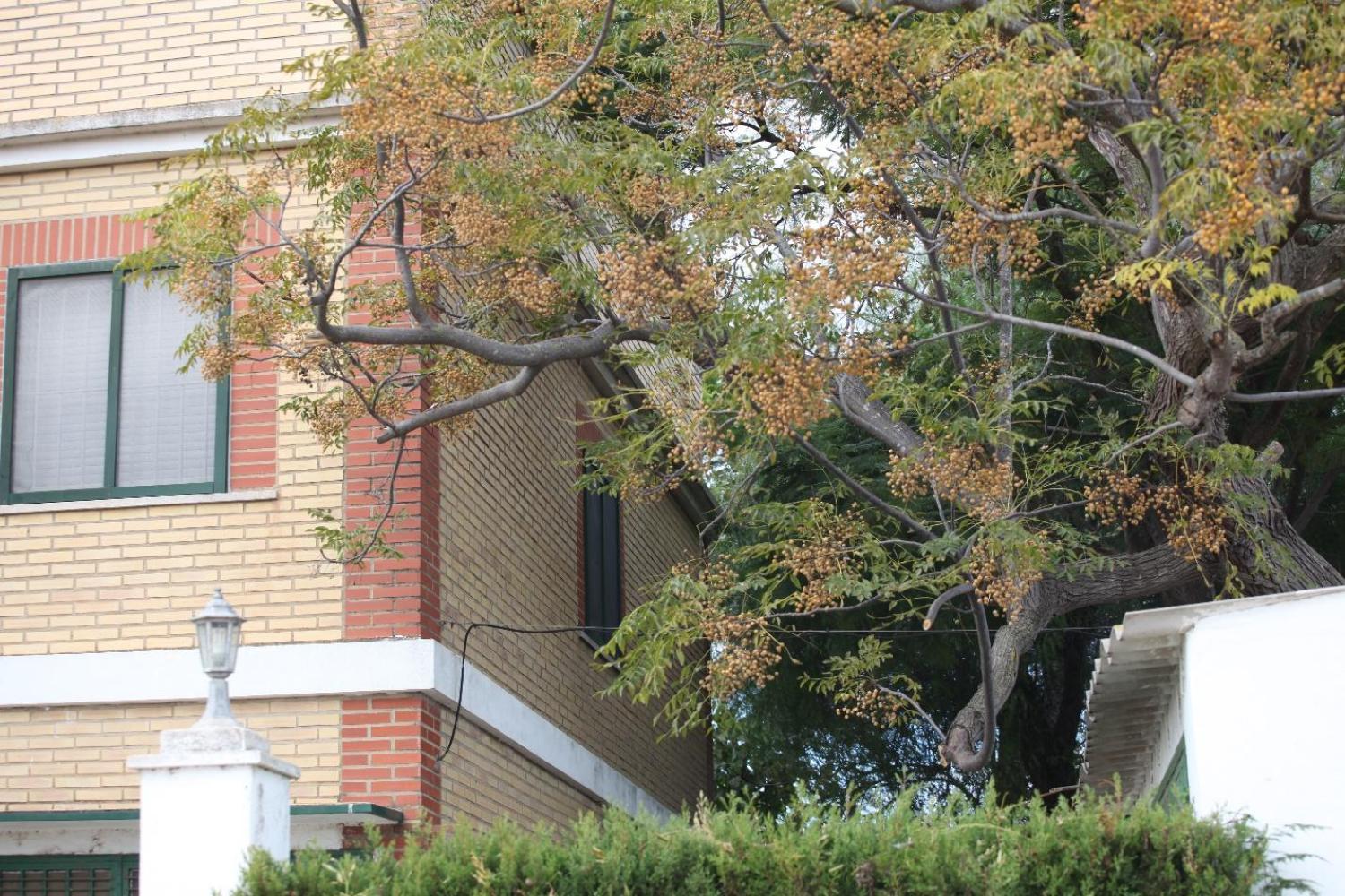  à vendre villa Sollana Ribera Baixa 19