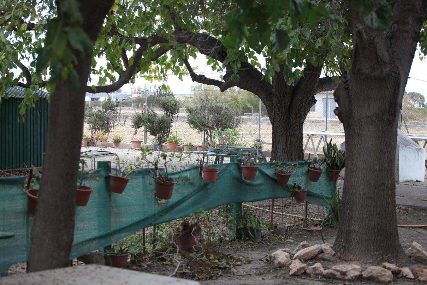  à vendre villa Sollana Ribera Baixa 79