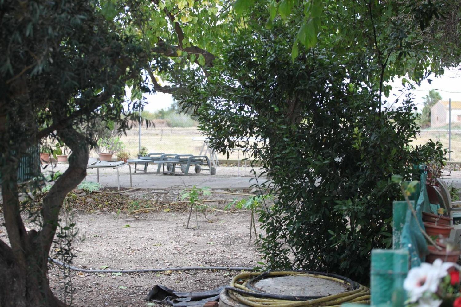  à vendre villa Sollana Ribera Baixa 82