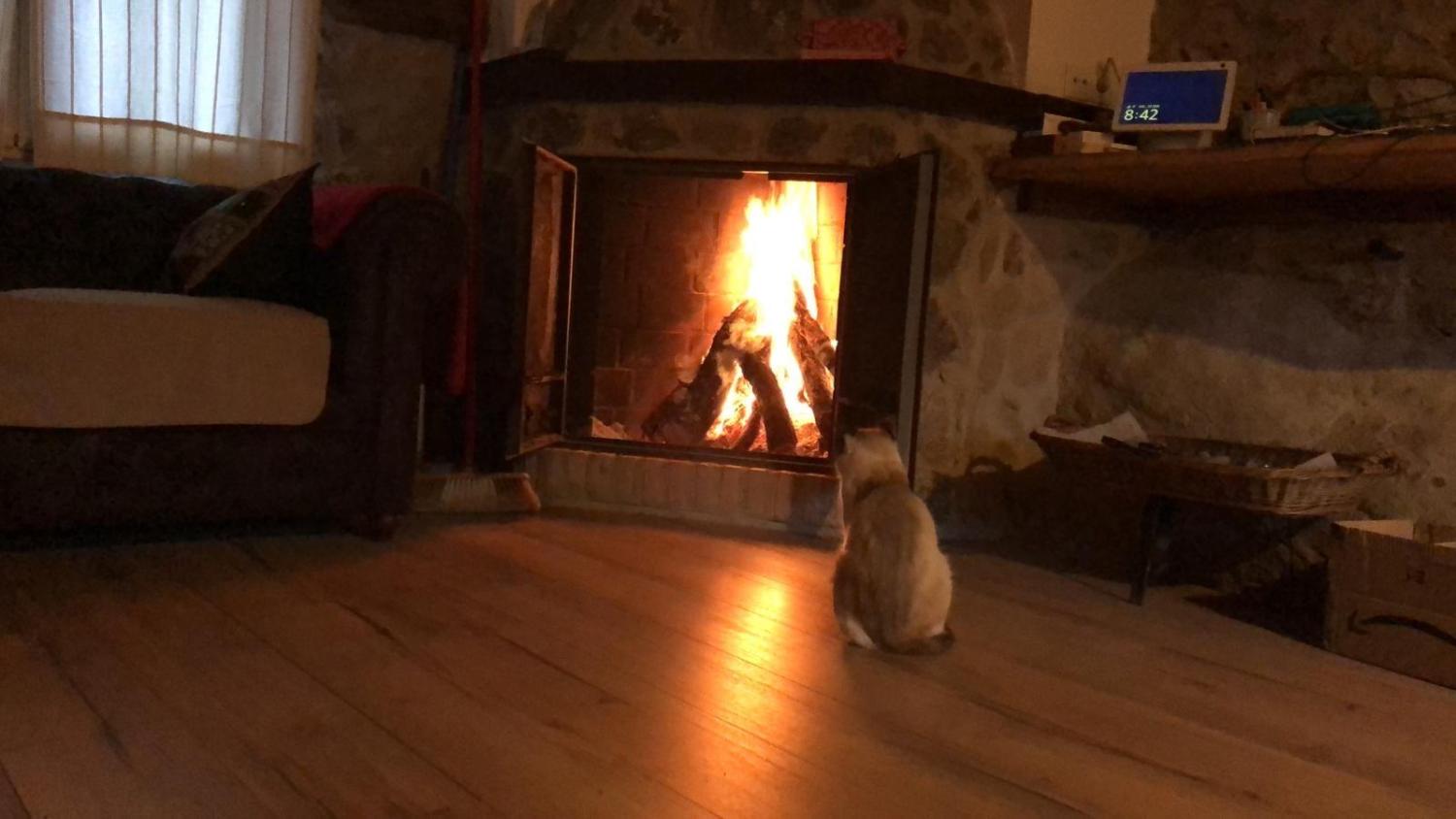 à vendre maison de campagne Casas Del Castañar Valle Del Jerte 3