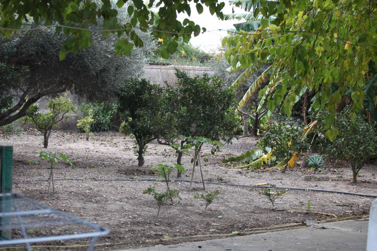  à vendre villa Sollana Ribera Baixa 73