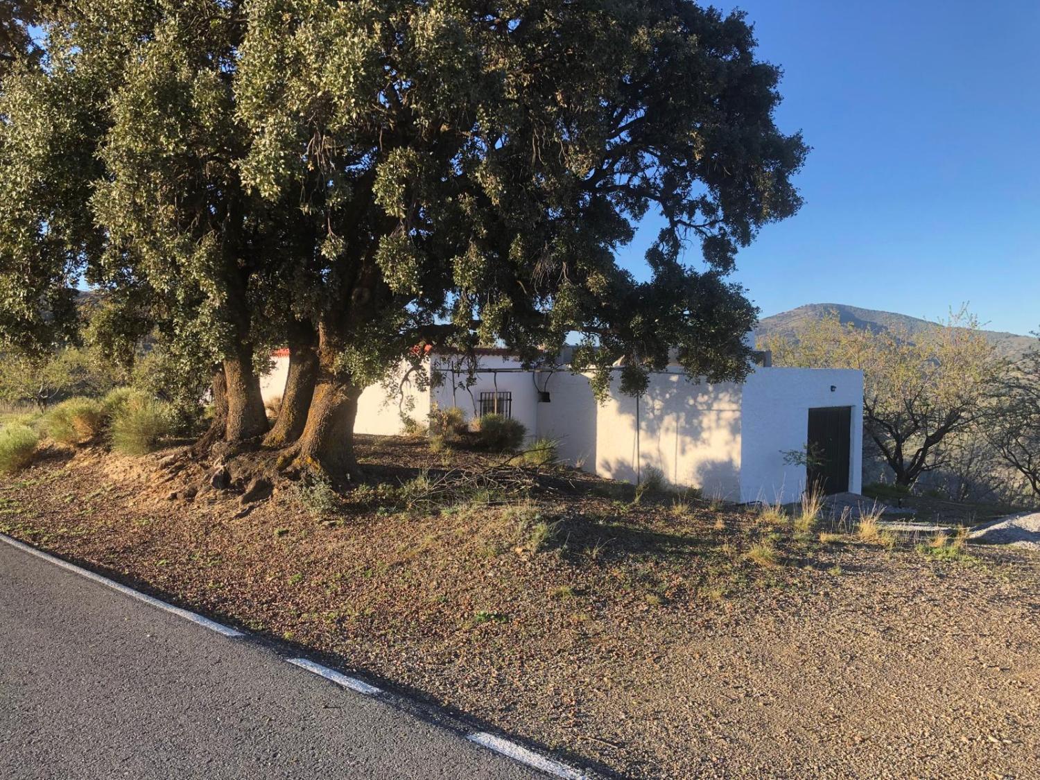  à vendre maison Torvizcón Alpujarra Granadina 1