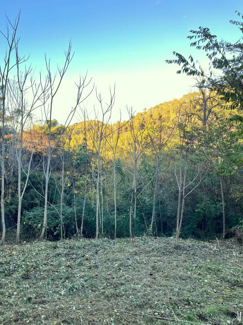 Les Planes Vallès Occidental terrain foto 5408629