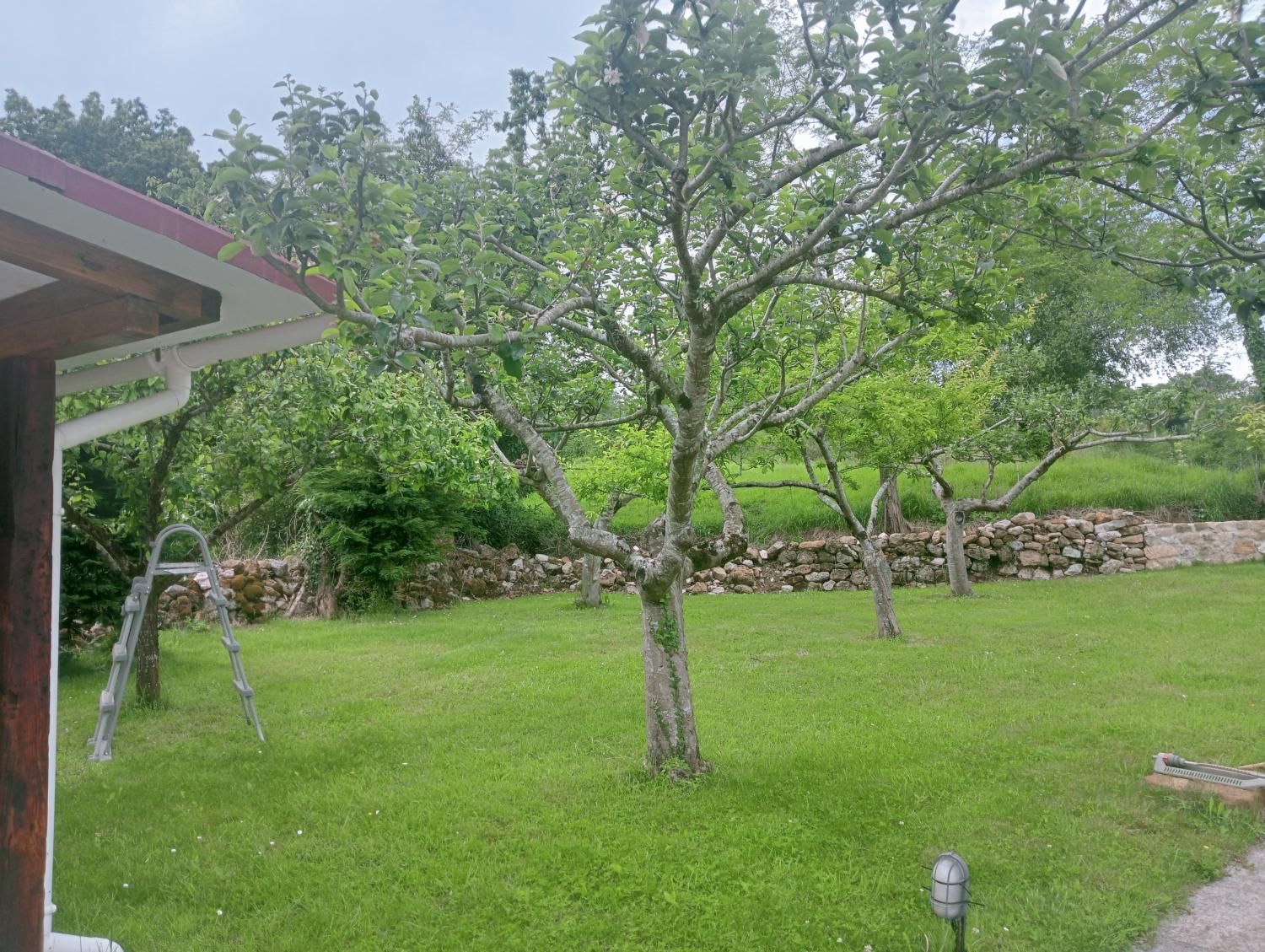  à vendre maison Mercadal Besaya 1