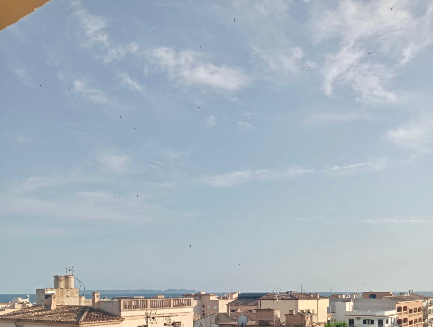  à vendre appartement Colonia De Sant Jordi Sud 1
