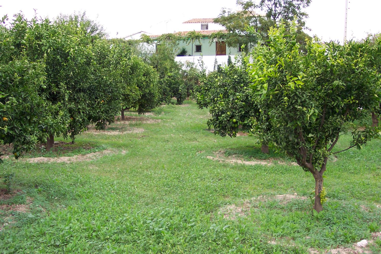  à vendre maison de campagne Lubrín Levante Almeriense 1