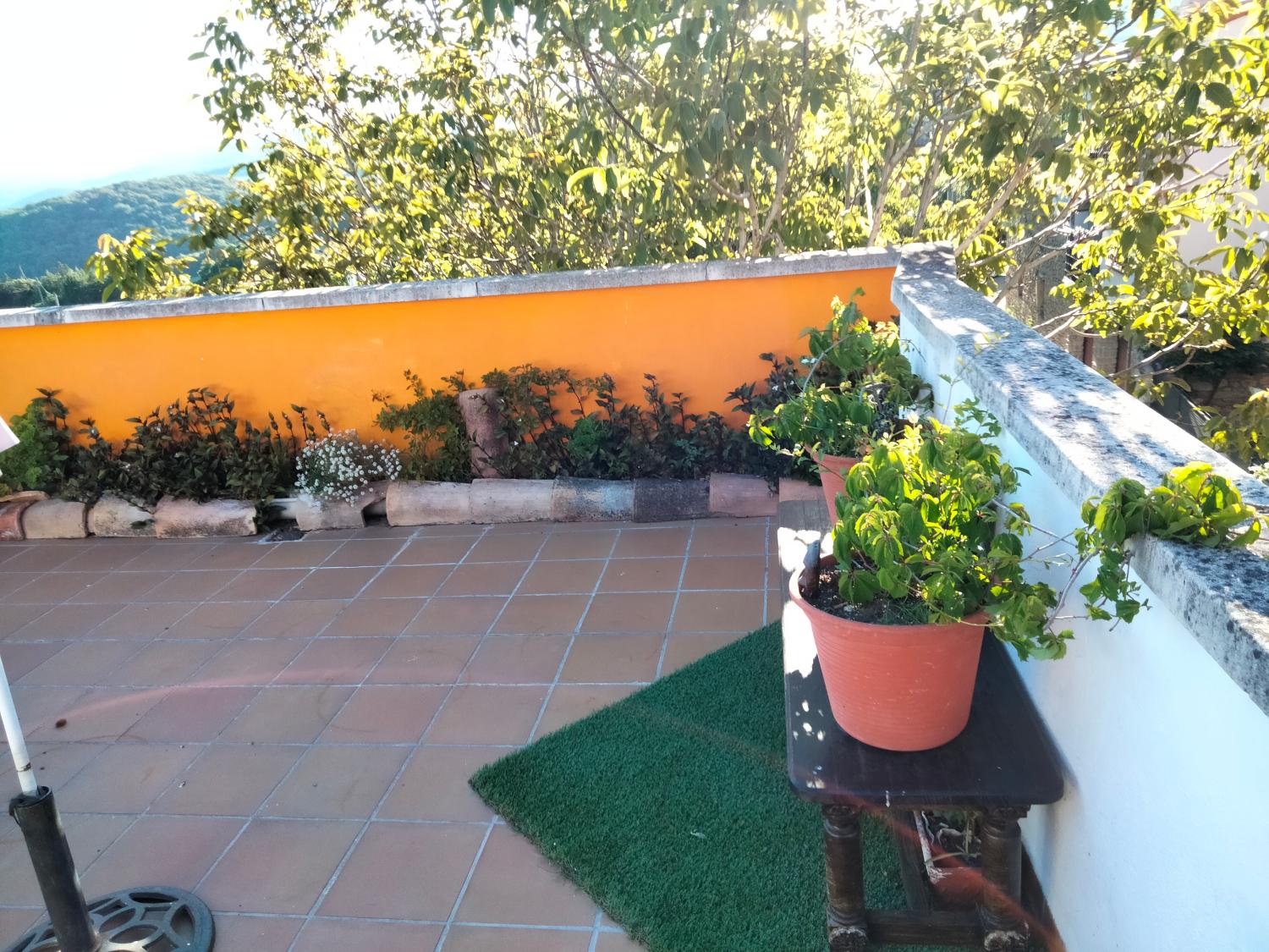  à vendre maison de ville Azcona Tierra Estella 32
