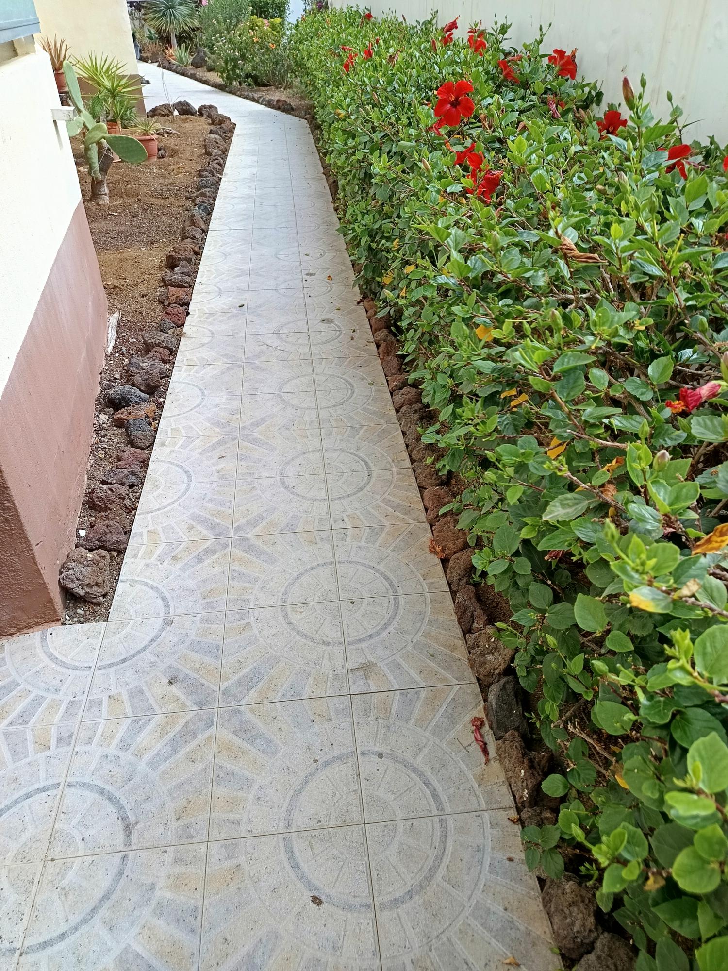  à vendre appartement Las Palmas Centro 35004 Palmas De Gran Canaria (Las) 19