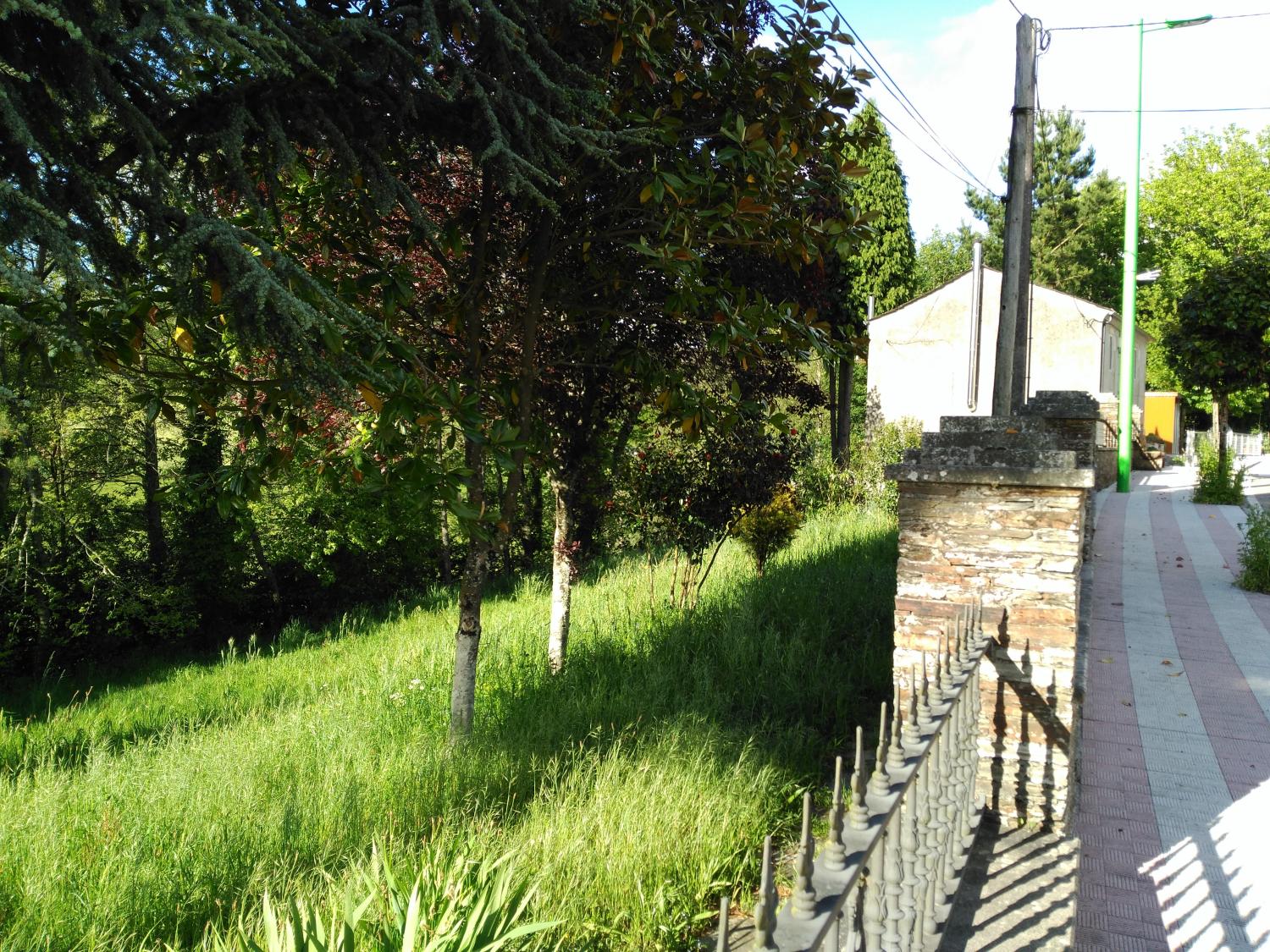  à vendre maison Abadín Terra Chá 3