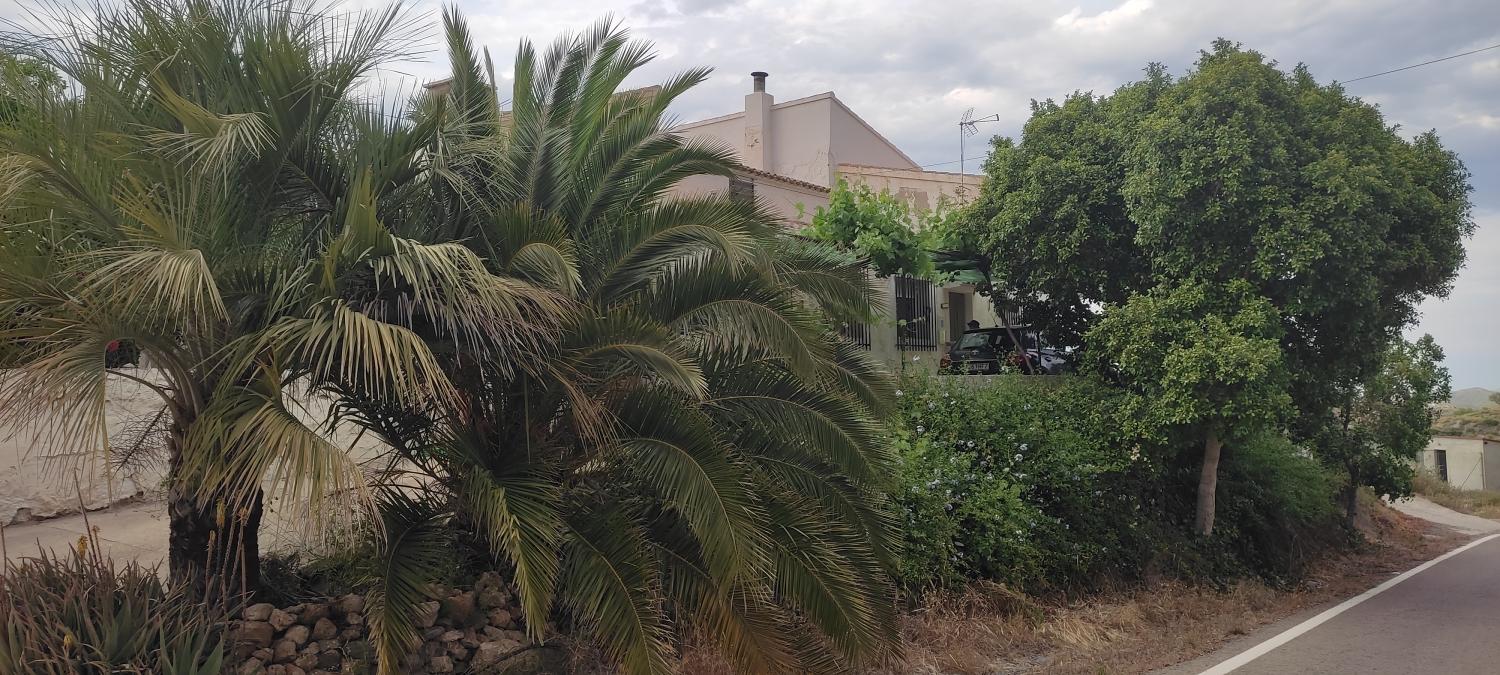  à vendre maison de campagne Lubrín Levante Almeriense 4