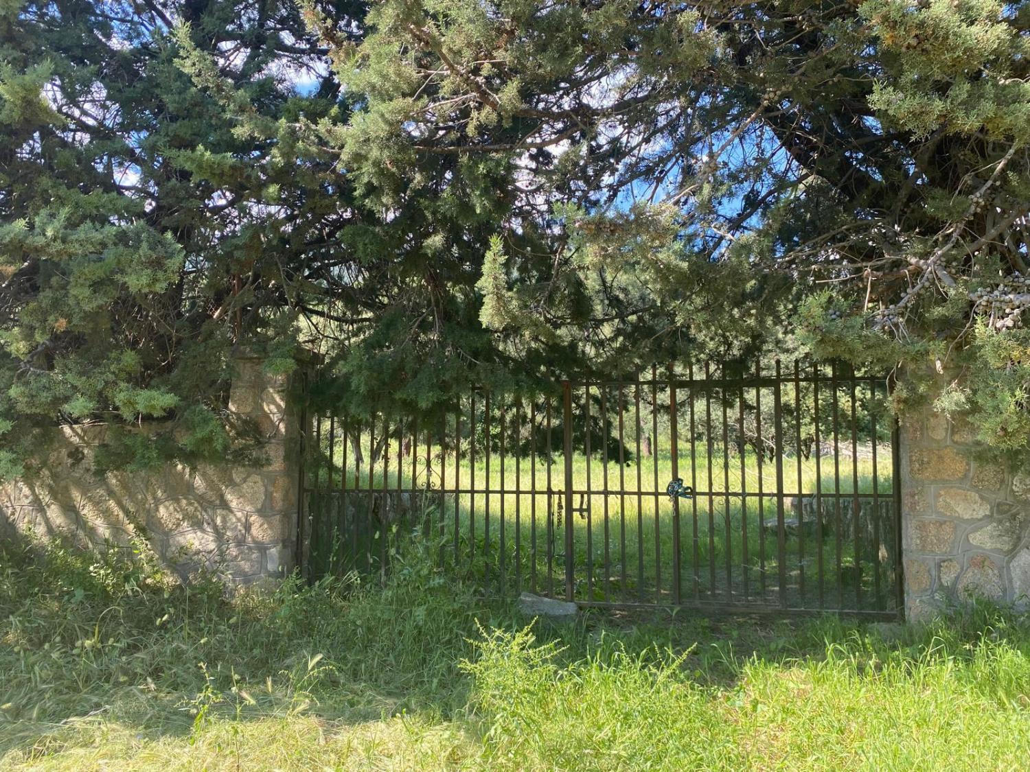  à vendre terrain Sotillo De La Adrada Valle Del Tiétar 2