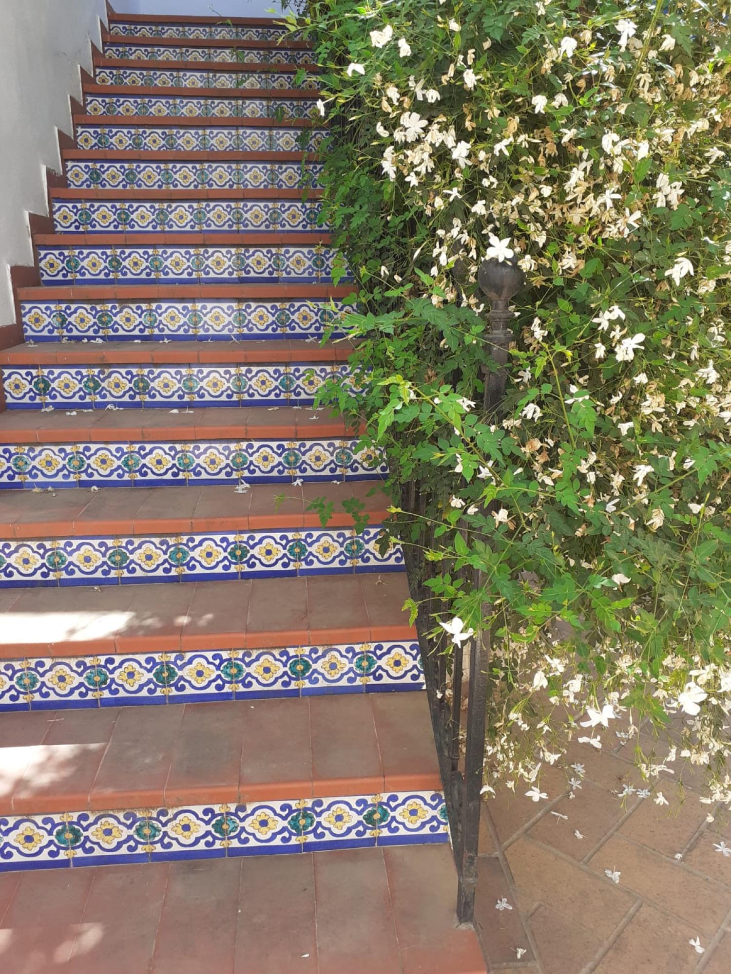  à vendre maison de maître Écija Écija 20