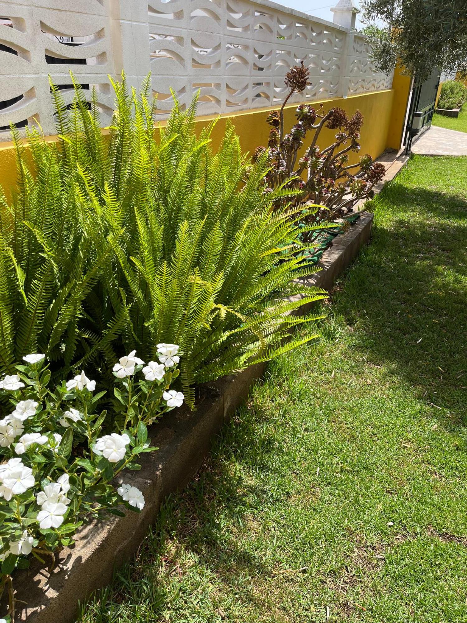  à vendre villa Grao Plana Alta 47