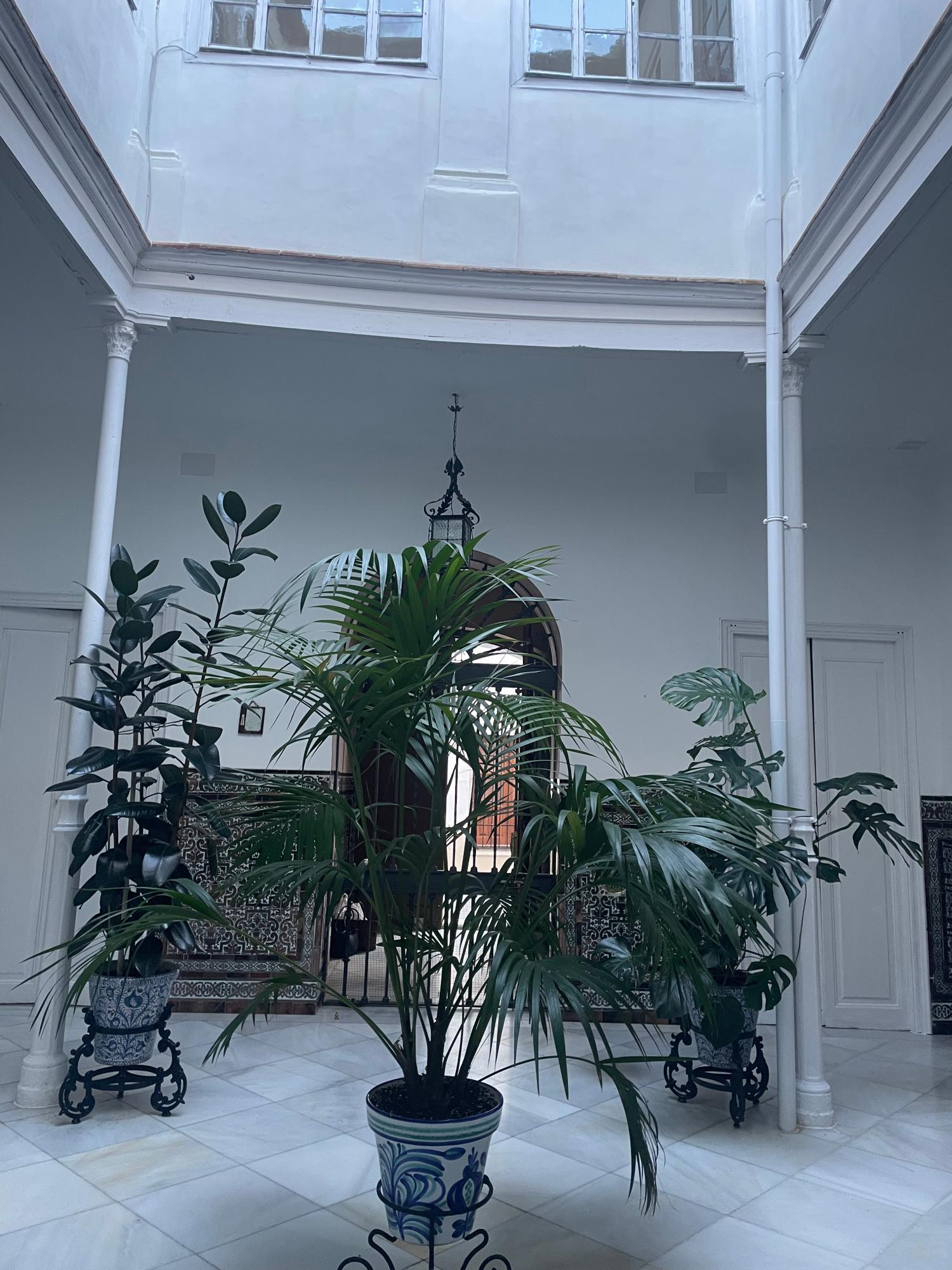  à vendre maison Écija Écija 24