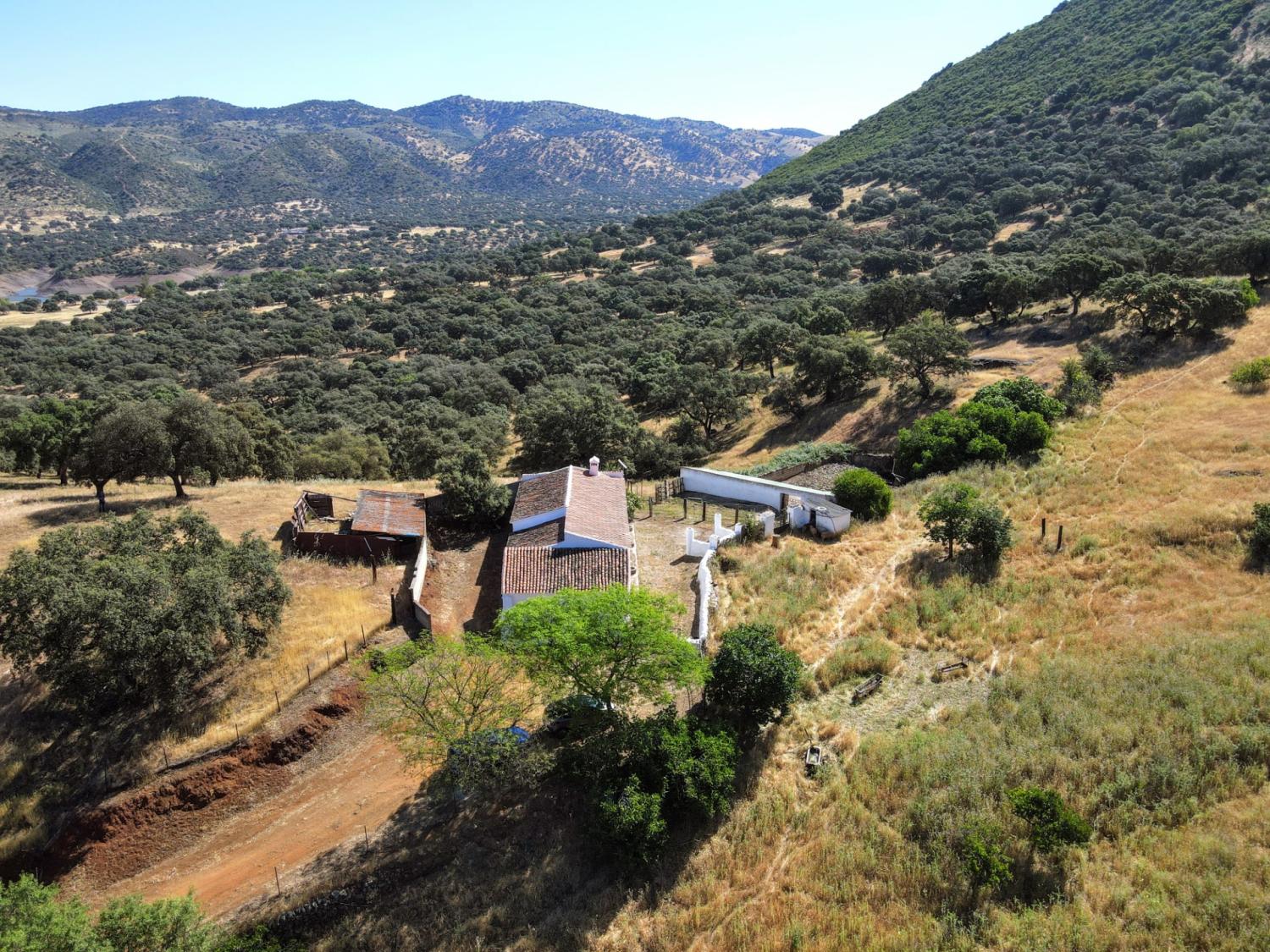 à vendre maison de campagne Cazalla De La Sierra Sierra Norte 3