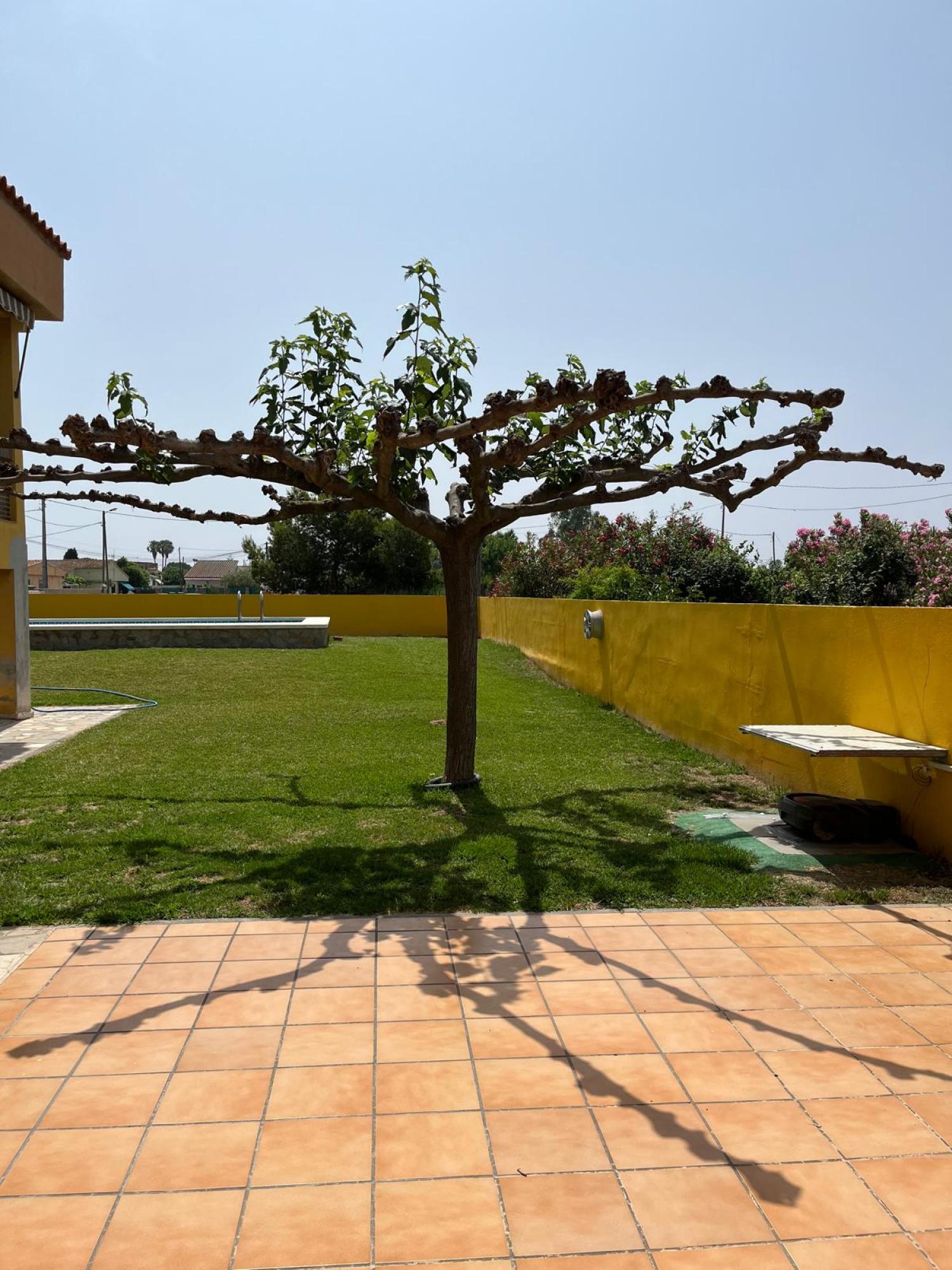  à vendre villa Grao Plana Alta 32