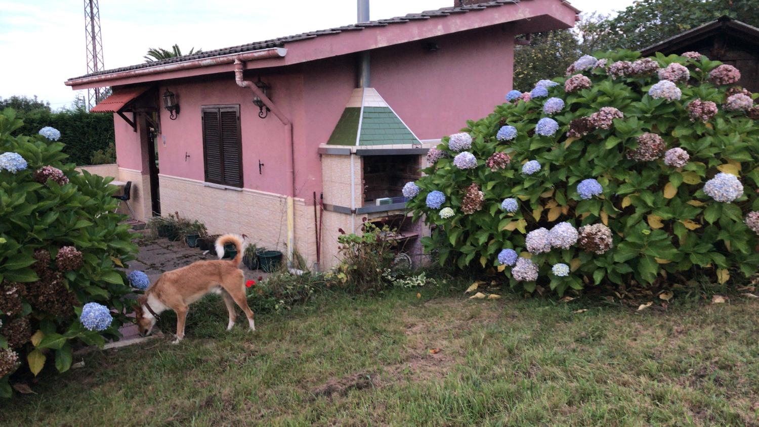  à vendre maison de campagne Arguero Gijón 15