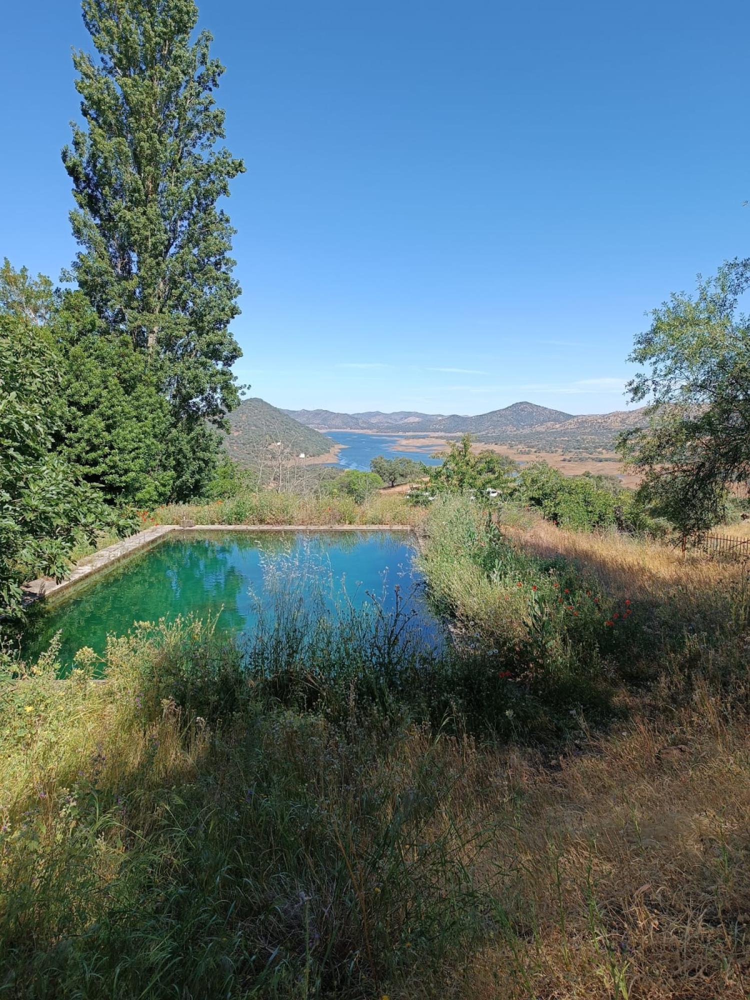  à vendre maison de campagne Cazalla De La Sierra Sierra Norte 2
