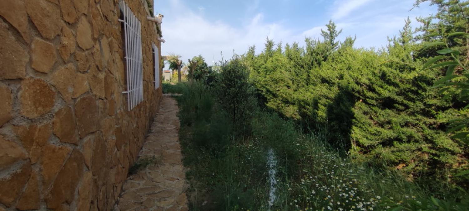  à vendre maison La Higuera Monte Ibérico Almansa 25