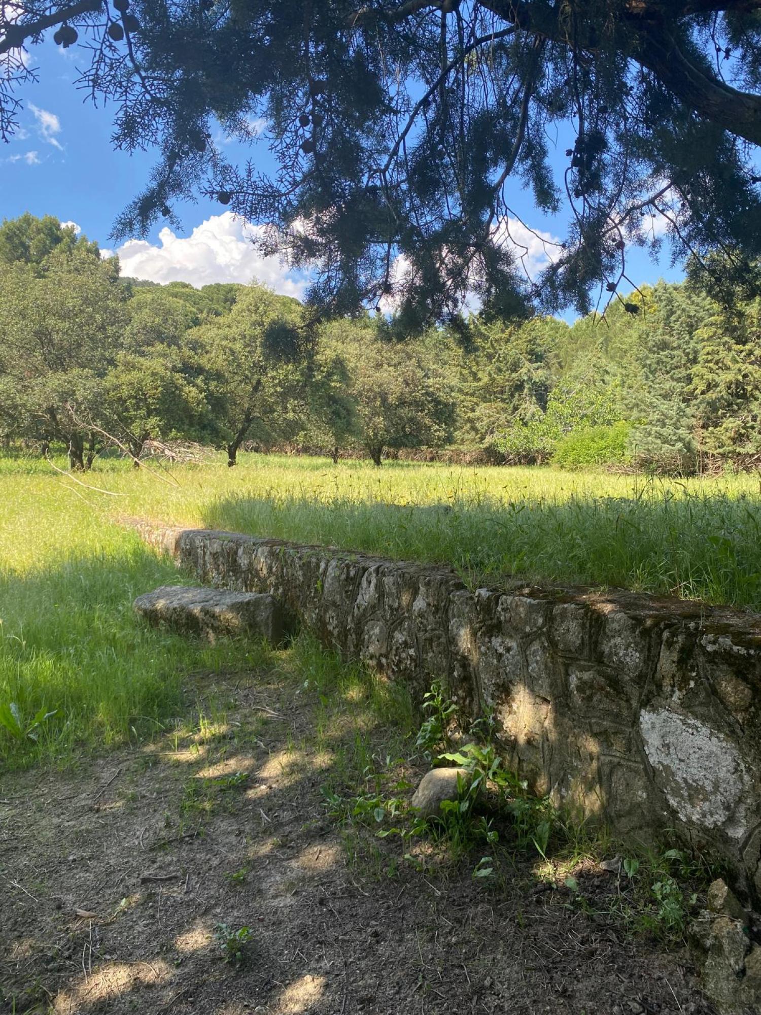  à vendre terrain Sotillo De La Adrada Valle Del Tiétar 3