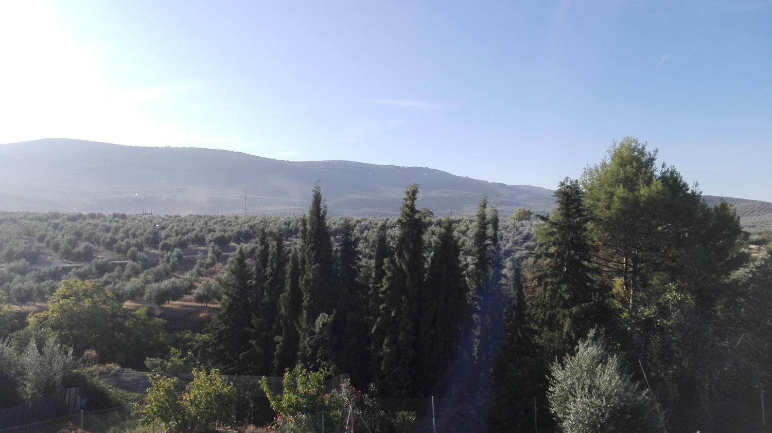  à vendre maison de ville Gutar Villas (Las) 1