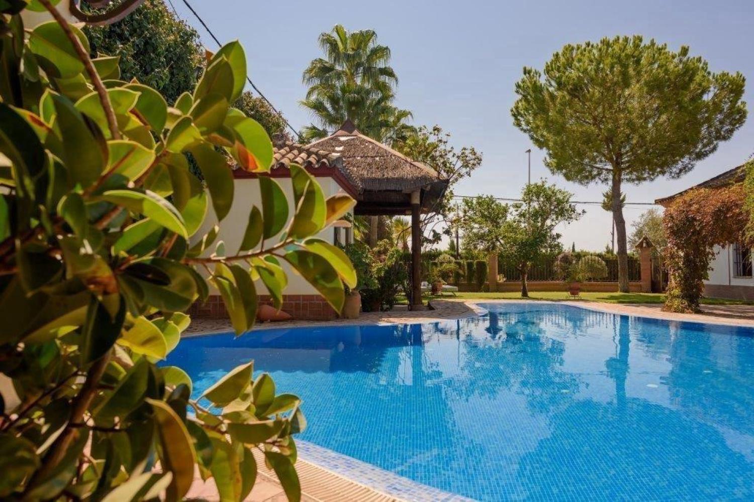  à vendre villa Écija Écija 6